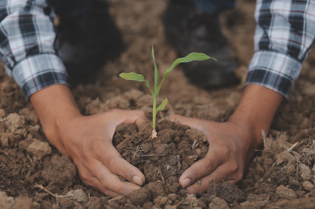 Símbolo día del corazón de la tierra un puñado de manos de tierra forma de corazón granja tierra orgánica manos del agricultor tierra tierra tierra tierra jardín tierra tierra granja tierra mano masculina llena de tierra fértil concepto de agricultura de campo