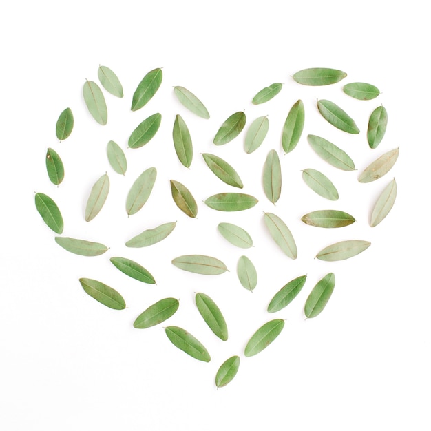 Símbolo do coração feito de pétalas verdes em branco