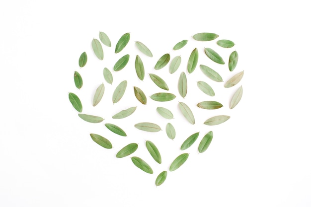 Símbolo do coração feito de pétalas verdes sobre fundo branco.