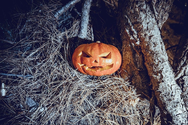 Símbolo de halloween