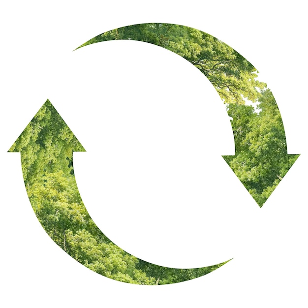 Símbolo de reciclaje Png con árboles verdes