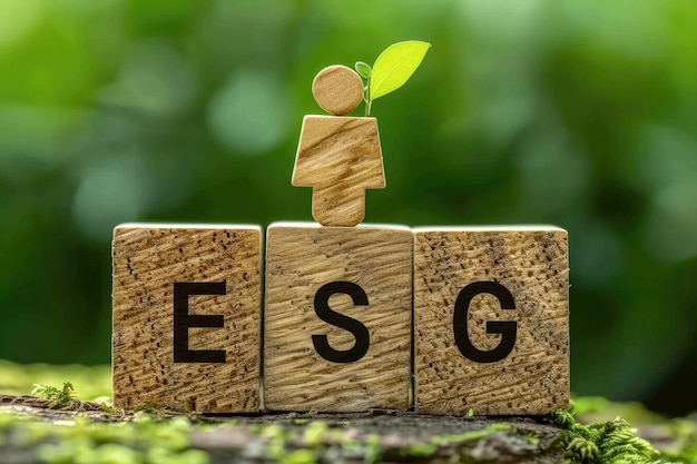 Símbolo de texto ESG en cubos de madera Medio ambiente ESG Sociedad y gobernanza Concepto ambiental