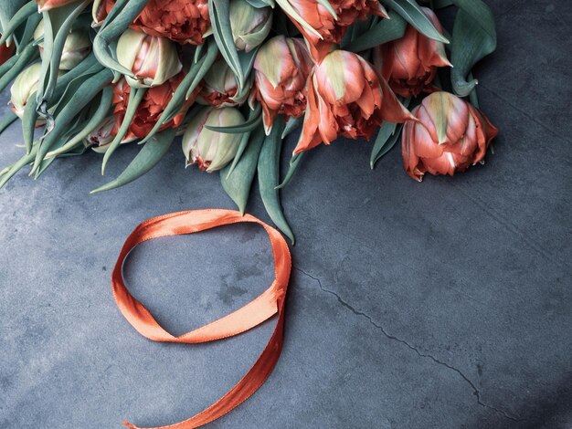 Símbolos da memória 9 de maio, 23 de fevereiro, conceito de cartão Tulipa vermelha e fita vermelha