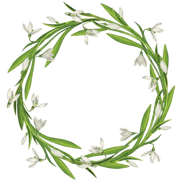 Una simple corona de hojas y flores de gotas de nieve Ilustración en acuarela en estilo vintage