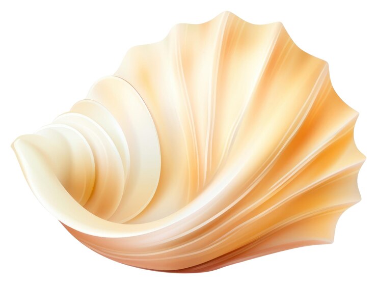 Foto la simplicidad de los invertebrados de fondo blanco de conchas marinas de png