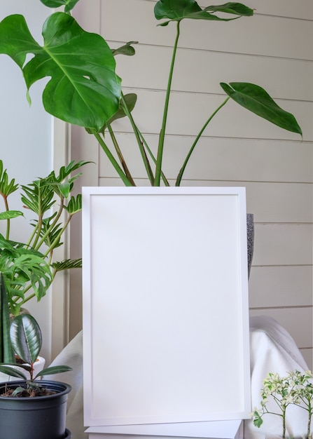 Simulacros de marco de madera de póster y planta de casa tropical botánica gigante de Monstera en una hermosa maceta de hormigón en una mesa de madera en una moderna sala de estar elegante con paredes blancas