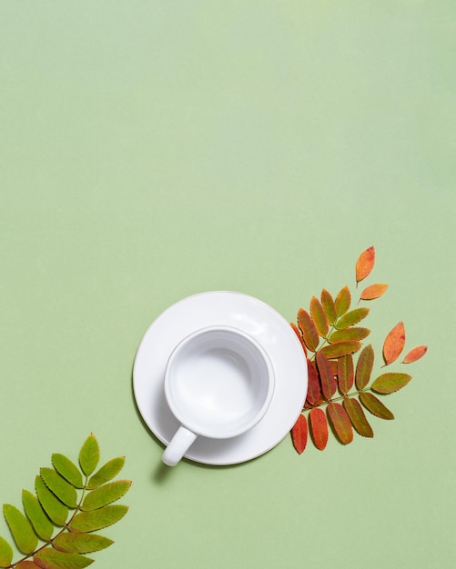 Simulacros de taza de cerámica blanca para café o té y hojas de otoño amarillas rojas sobre papel verde pastel
