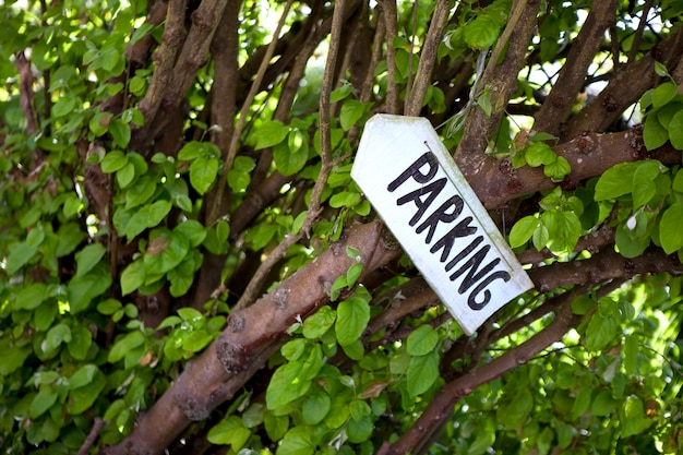 Sinal de estacionamento em árvores