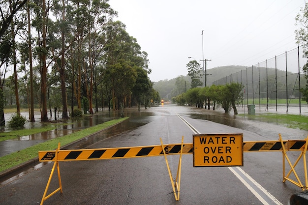 Foto sinal de estrada por árvores contra o céu