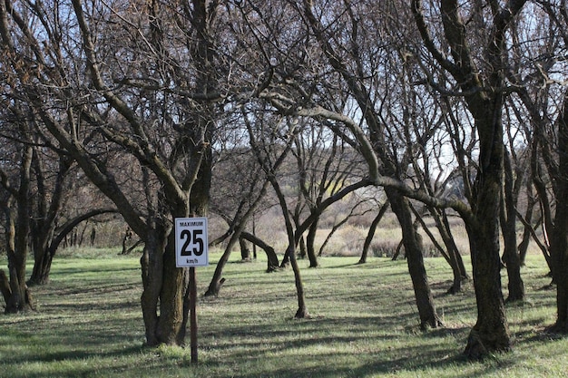 Foto sinal de informação na floresta