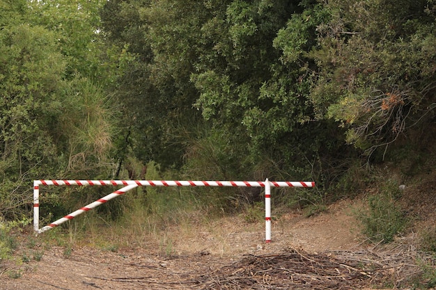 Foto sinal de informação no campo por árvores na floresta