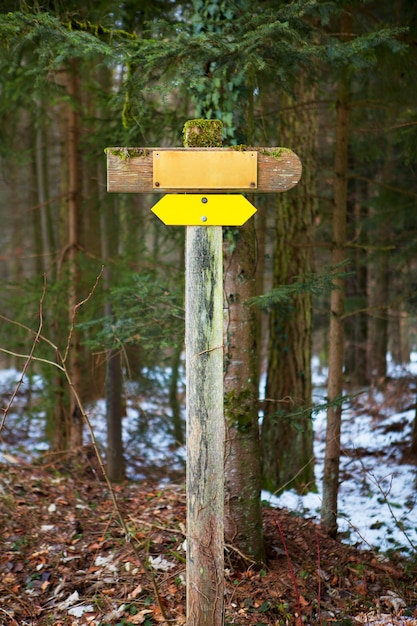 Foto sinal de informação no tronco da árvore na floresta