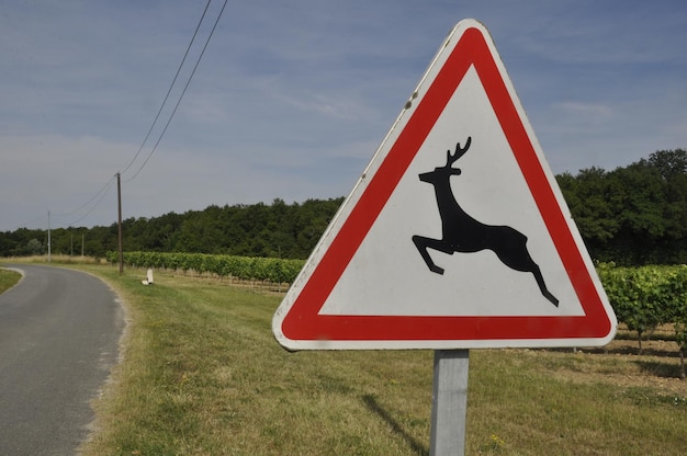 sinal de trânsito indicando a passagem de animais selvagens na França