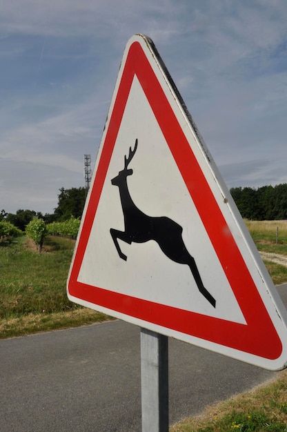 sinal de trânsito indicando a passagem de animais selvagens na França