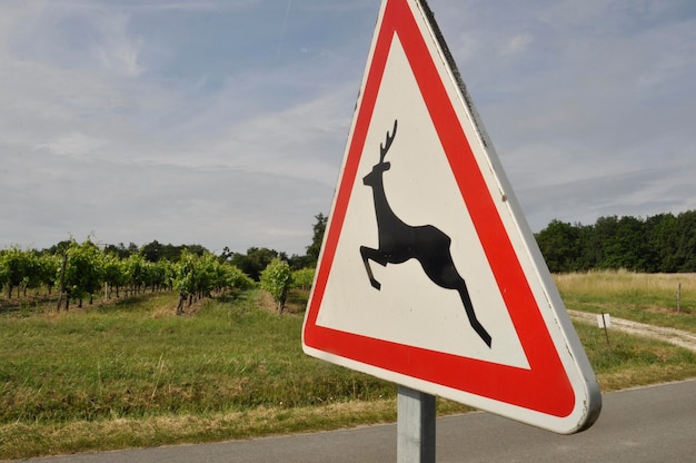 sinal rodoviário que indica a passagem de animais selvagens em França