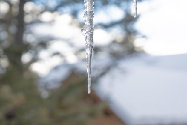 Sincelos congelados pendurados na calha do telhado no inverno