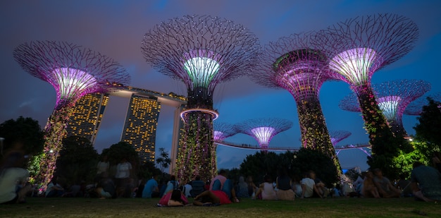 Singapore Night Skyline in den Gärten an der Bucht