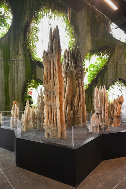 Singapur 4 de abril de 2025 Grandes estalagmitas expuestas dentro de la Cúpula del Bosque de Nubes en Gardens by the Bay rodeadas de exuberante vegetación
