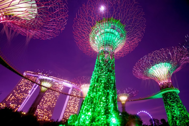 Singapur 8. Januar 2014 Stadtlandschaft von Singapur Nachtansicht von Supertree Grove in Gardens by the Bay