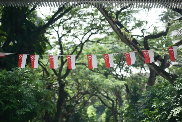 Singapur-Flaggen zum Feiern des Nationalfeiertags