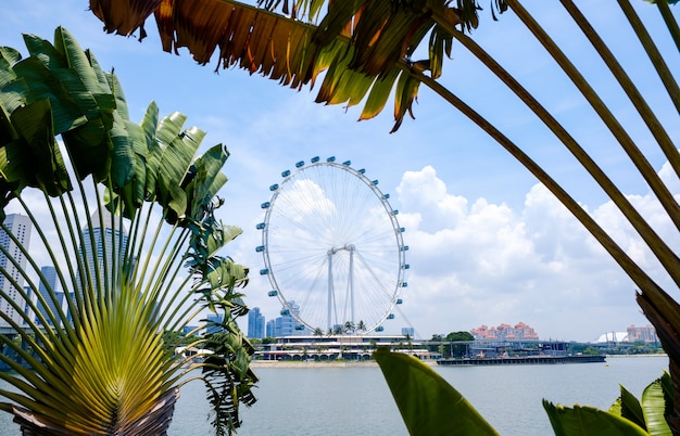 Singapur Flyer, Riesenrad