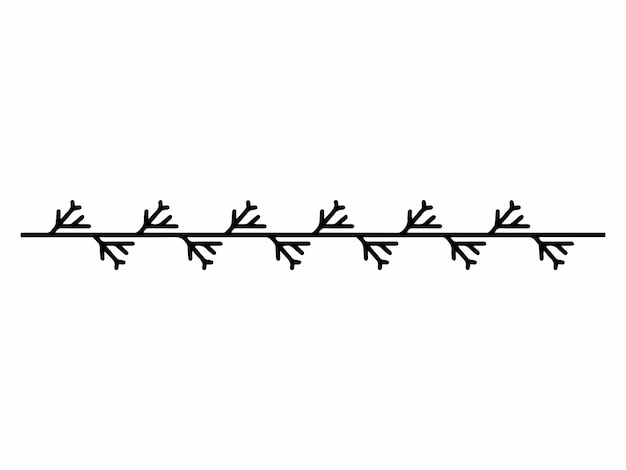 Single Border Line Design-Element