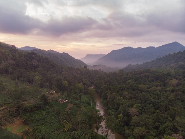 Sinharaja floresta tropical reserva natural sri lanka vista aérea ao pôr do sol montanhas selva floresta antiga