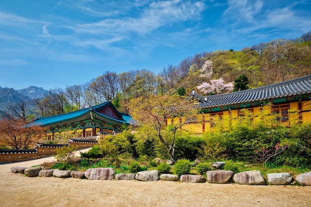 Foto sinheungsa-tempel im seoraksan-nationalpark seoraksan südkorea