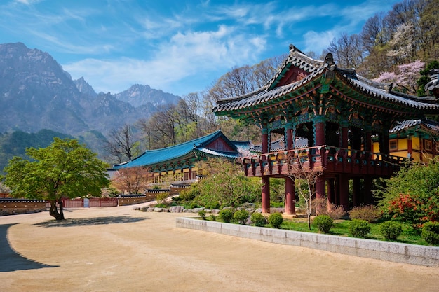 Foto sinheungsa-tempel im seoraksan-nationalpark seoraksan südkorea