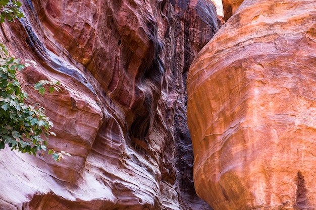 El Siq en Petra Jordan