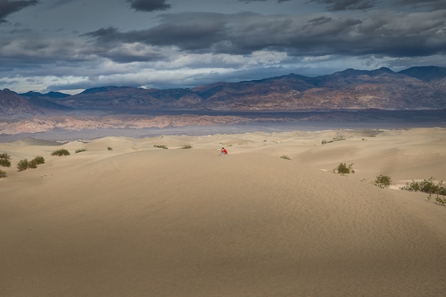 Sirva sittign en la duna de arena en el paisaje de la muerte del desierto.