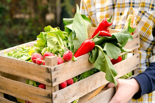 Sirva sostener una caja de verduras frescas y dársela a las manos de la mujer.