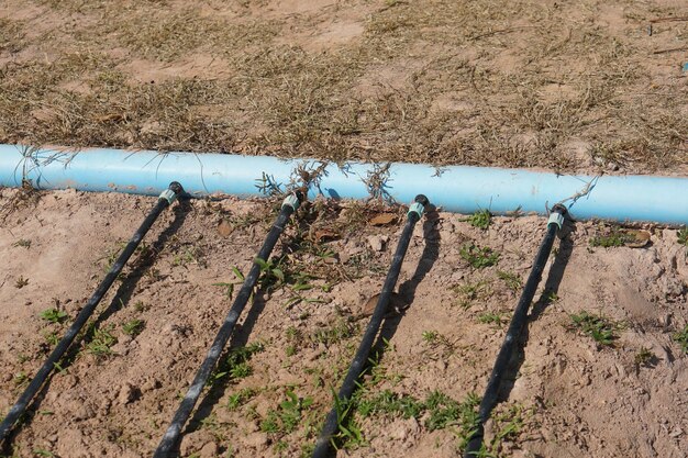 Sistema de agua en jardín de flores.