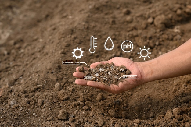 Sistema avanzado de vigilancia agrotecnológica que analiza las propiedades del suelo en la agricultura moderna
