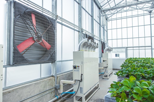 Foto sistema de control de temperatura y humedad del tubo del tubo de flujo del viento de refrigeración del ventilador de aire de la granja de la agricultura del invernadero interior para plantar