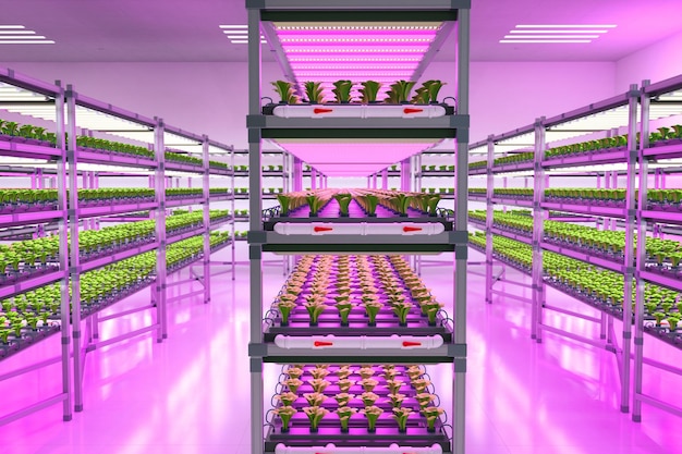 Sistema de cultivo interno levantou plantas no crescimento das prateleiras com luz led