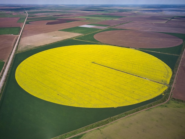 Sistema de irrigação de pivô central em uma vista aérea de campo de colza amarela