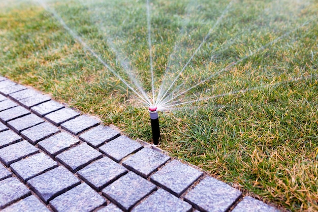 Sistema de irrigação moderno no parque