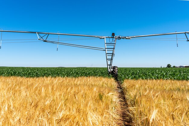 Sistema de irrigação nas propriedades de cereais de castela e leão na espanha