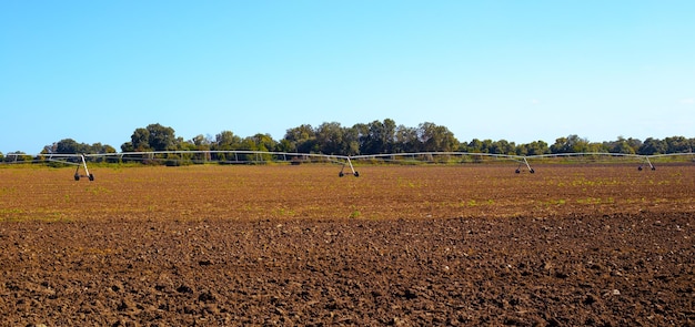 Sistema de irrigação por aspersão no cultivo de campo de culturas agrícolas