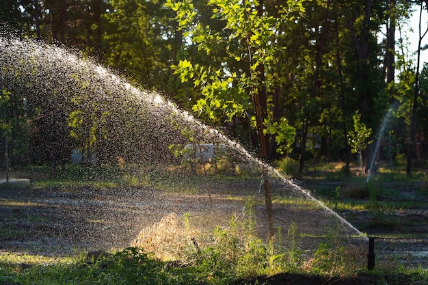 Sistema de rega automática de rega do relvado do jardim.