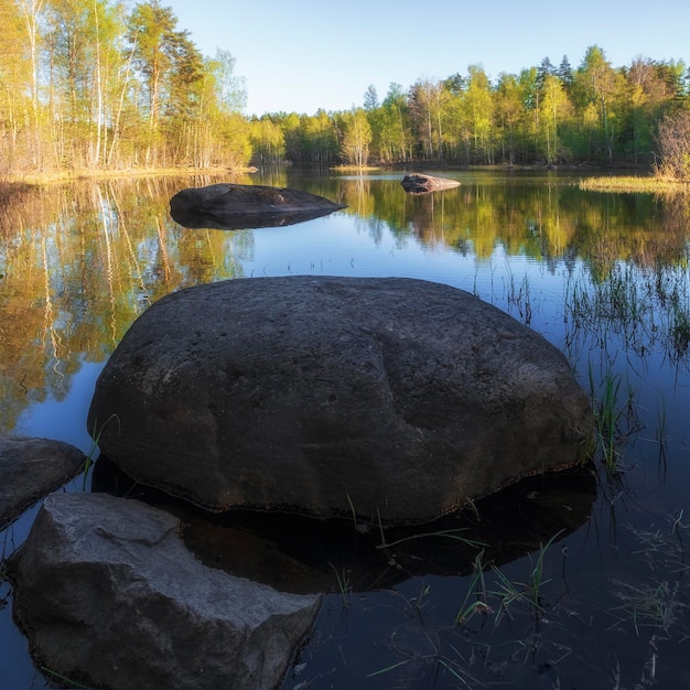 Sistema de lagos y ríos Vuoksa con grandes piedras rodeadas de bosque