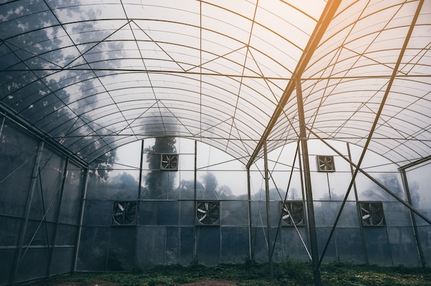 Foto sistema moderno de agricultura cerrada para el cultivo de plantas con tecnología e innovación.