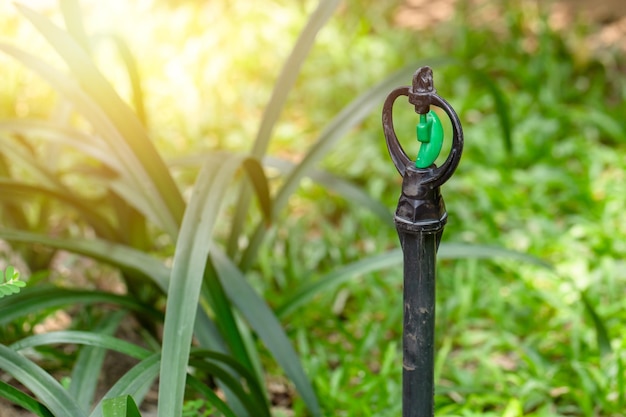 Sistema de riego del patio trasero del campo de hierba verde del jardín del springer del agua