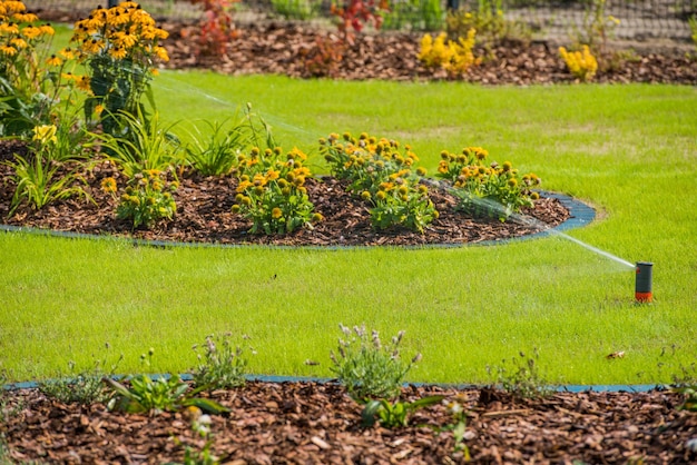 Sistema de riego Riego del patio trasero Área de jardinería