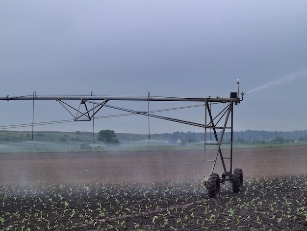 Sistema de tuberías de riego que riega la tierra de cultivo agrícola