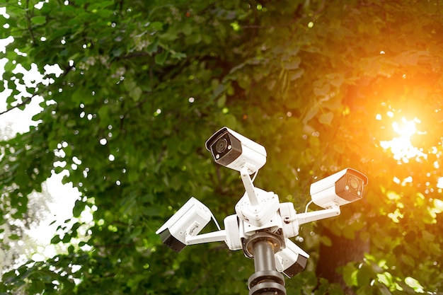 Sistema de videovigilancia en un poste en el primer plano del parque