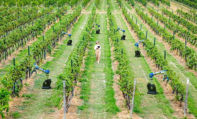 Sistema de viñedo inteligente con trabajo de viticultor con brazos robóticos