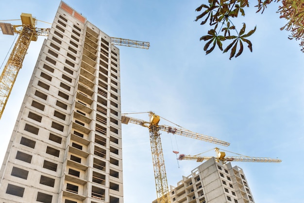 Sitio de construcción con edificios y grúas industriales.