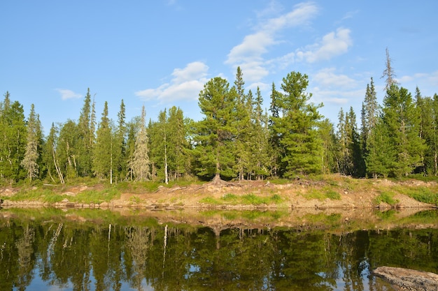 Sitio del Patrimonio Mundial de la UNESCO Bosques vírgenes de Komi